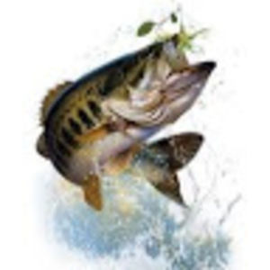 Meet your Posher, Jaiden